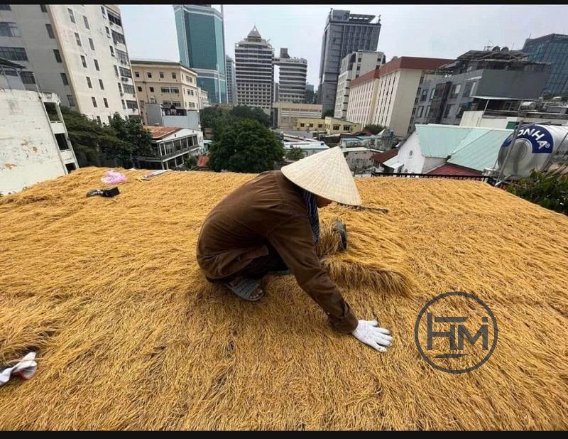 HƯỚNG DẪN THI CÔNG RƠM NHÂN TẠO